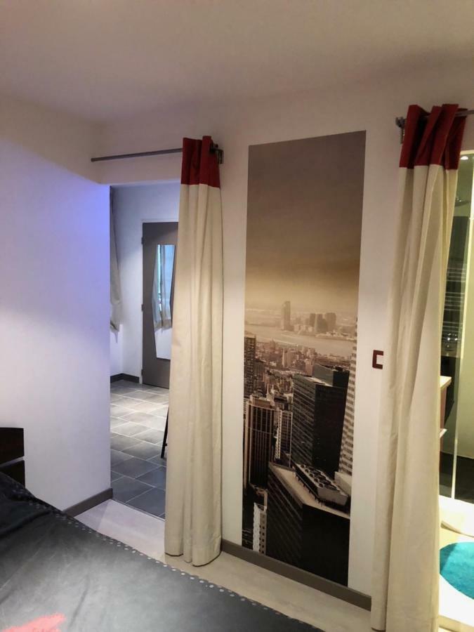 Lulu Philippe Appartement Saint-Etienne  Buitenkant foto